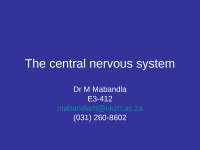 Cns (2015)
