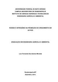 RIZÓBIO PARA PROMOÇÃO DE CRESCIMENTO DE ALFACE