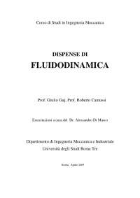 Fluidodinamica