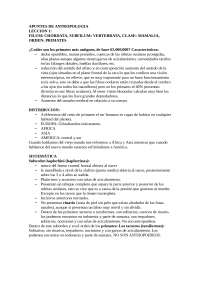 Lecciones desde la 1 a la 6 incluida