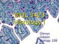 1 course overview introduction to tissue types