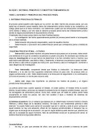 APUNTS PROCESSAL PENAL - Apuntes de Derecho Procesal Penal - Docsity