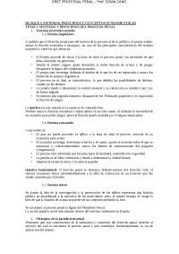 Sistemas y principios del proceso penal - Apuntes de Derecho Procesal ...