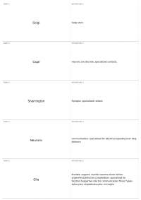 Exam 1 | NEU 301 - Introduction to Neuroscience I