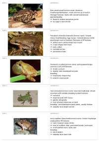 Michigan's Common Frogs & Toads: Characteristics, Breeding, & Distribution