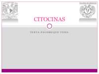 Citocinas
