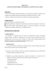 PRÁCTICA 3.INVESTIGACIONES SOBRE EL DESARROLLO COGNITIVO DE 0 A 2 AÑOSOBJETIVO