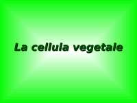 Dispensa Cellula vegetale