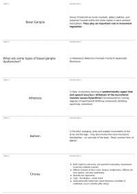 Basal Ganglia: Terms, Types, Dysfunctions, and Diseases