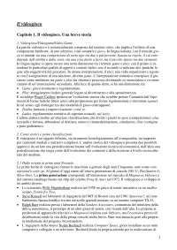 Appunti del testo "il videogioco" di Mauro Salvador