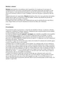 Methesis y mimesis - Apuntes de Historia de la Filosofia | Docsity