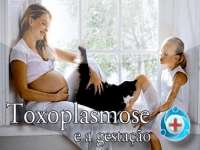 Toxoplasmose: Causas, Transmissão, Sintomas, Diagnóstico e Prevenção