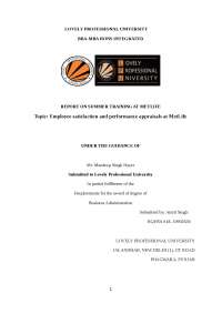 Employeesatisfactionandperformanceappraisals 111129043743 phpapp02
