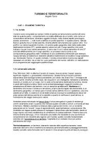 Turismo & territorialità. Modelli di analisi, strategie comunicative, politiche pubbliche - Angelo Turco