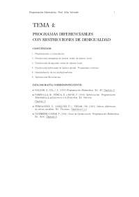 Programación matematica