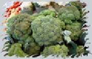 Dicionario Longman Escolar - broccolipel