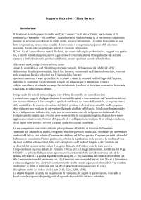 Esperienza lavorativa come assistente presso uno studio di commercialisti