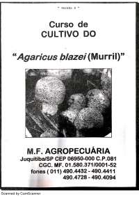 curso de cultivo do Agaricus Blazei