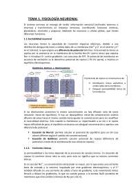 Sistema nervioso - Apuntes de Fisiología Animal - Docsity
