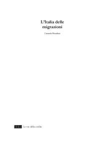 L'italia delle migrazioni, Bonifazi