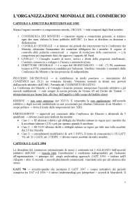 Diritto Commerciale Internazionale: Accordi dell'OMC e Regolamentazione del Commercio - Pr