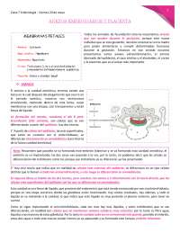Anexos embrionarios y placenta