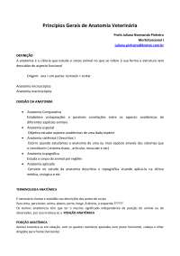 Princípios Gerais de Anatomia Veterinária