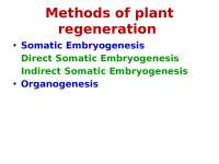 Regeneration of plant