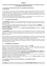 LA PROTECCIÓN INTERNACIONAL DE LOS DERECHOS HUMANOS - Apuntes de ...