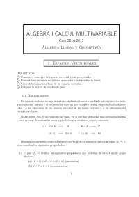 Àlgebra i càlcul multivariable: espacios vectoriales
