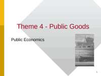 public goods and private goods equilibrium 