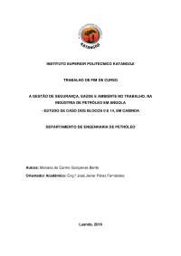 Trabalho de Fim de Curso - A Gestao de SSA Nos Blocos 0