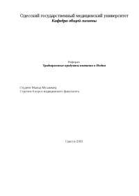Медицина Древней Индии Реферат Медицина Древней Индии Реферат