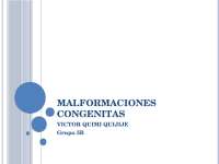 malformaciones del oido