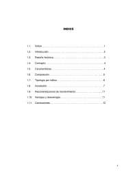 Investigación del proceso constructivo del piso lamina