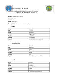 Taxonomia de 4 animales