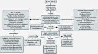 Esquema de la burocracia según Weber