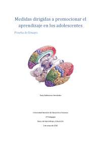 Medidas dirigidas a promocionar el aprendizaje en los adolescentes