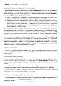 Apuntes primer parcial