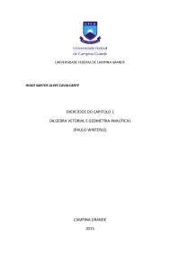 Capítulo 1 - Solucionário PAULO WINTERLE - CAP 1