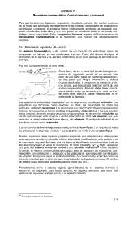 Homoestasis humana, descripción de mecanismos
