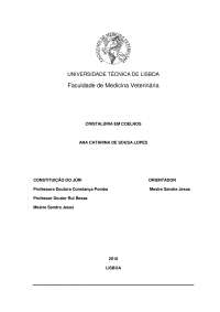 Cristaluria em coelhos
