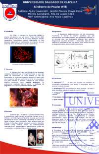 Banner prader