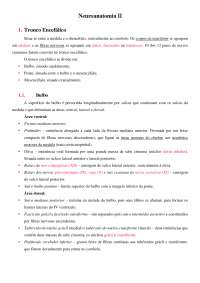 Neuroanatomia - resumo