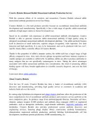 Creative Biolabs Released Rabbit Monoclonal Antibody Production Service