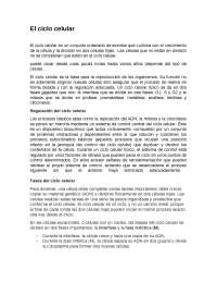 trabajo sobre el ciclo celuar