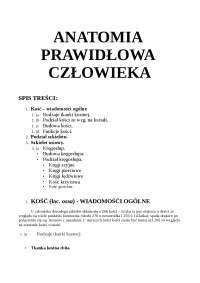 anatomia kości kręgosłup