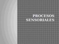 Procesos Sensoriales