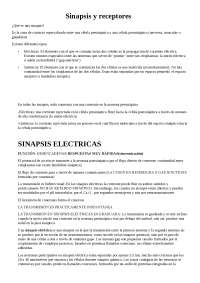 SINAPSIS FISIOLOGIA - Apuntes de Fisiología | Docsity