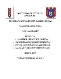 Informe de Manglares 